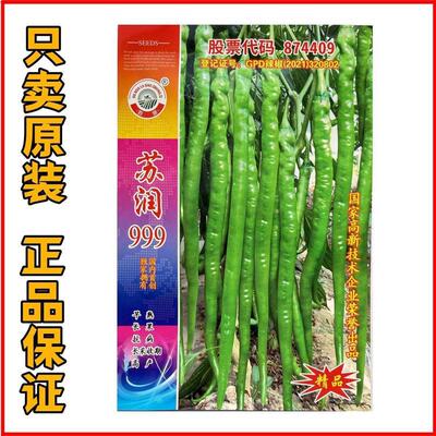 苏润999绿色长果线椒种子坐果集中抗性好辣味适中产量高春秋种植