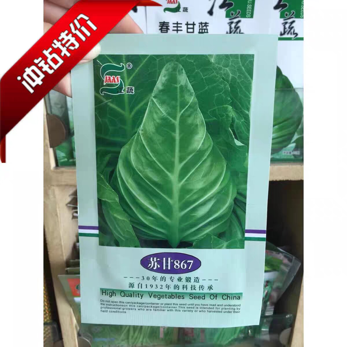 苏甘867甘蓝种子春秋兼用尖头甘蓝种籽牛心包心菜卷心菜种籽
