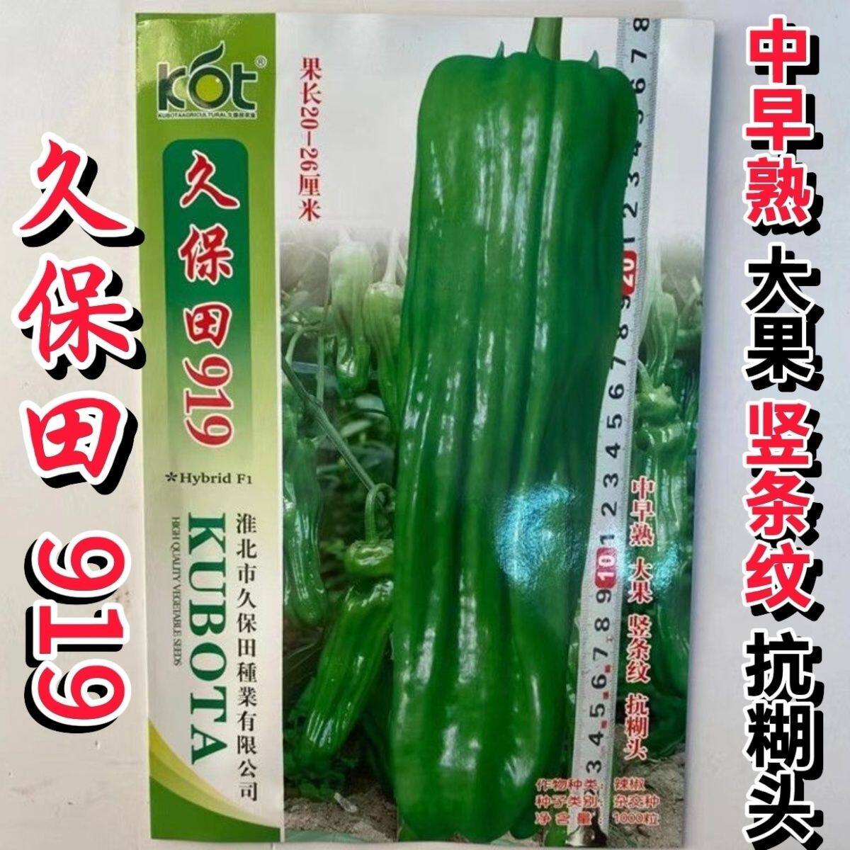 久保田919中早熟高产薄皮大果辣椒种子农家大田春秋大棚露地种植