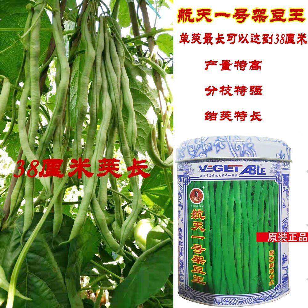 富芳航天一号架豆王种子高产实心耐老无筋架豆特长芸豆籽春秋季播