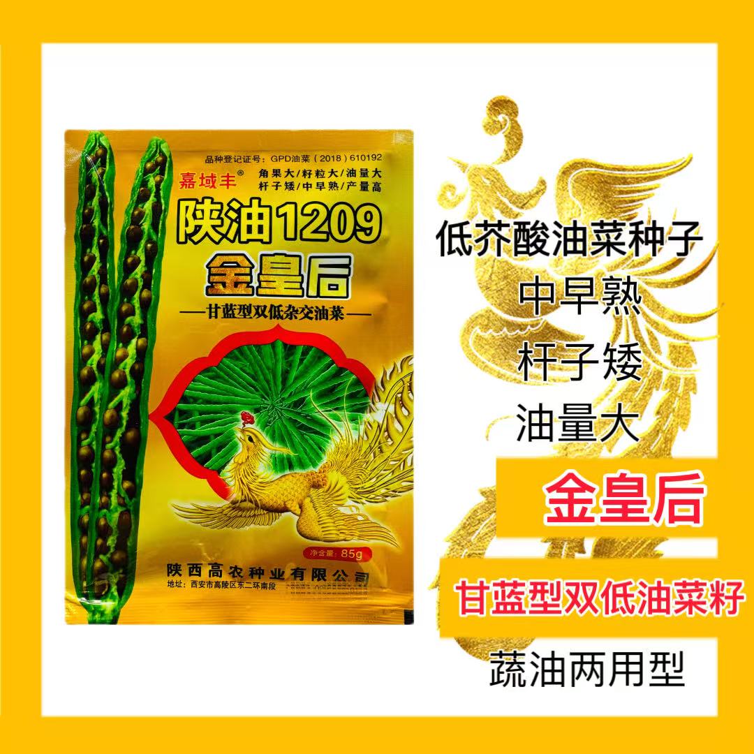 陕油1209金皇后油菜种子油专用抗旱高产杂交种子非转基因优质油料