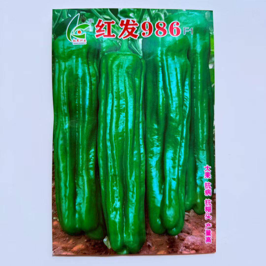 红发986辣椒种子早熟高产耐高温抗糊头春秋季薄皮大果型青椒种籽