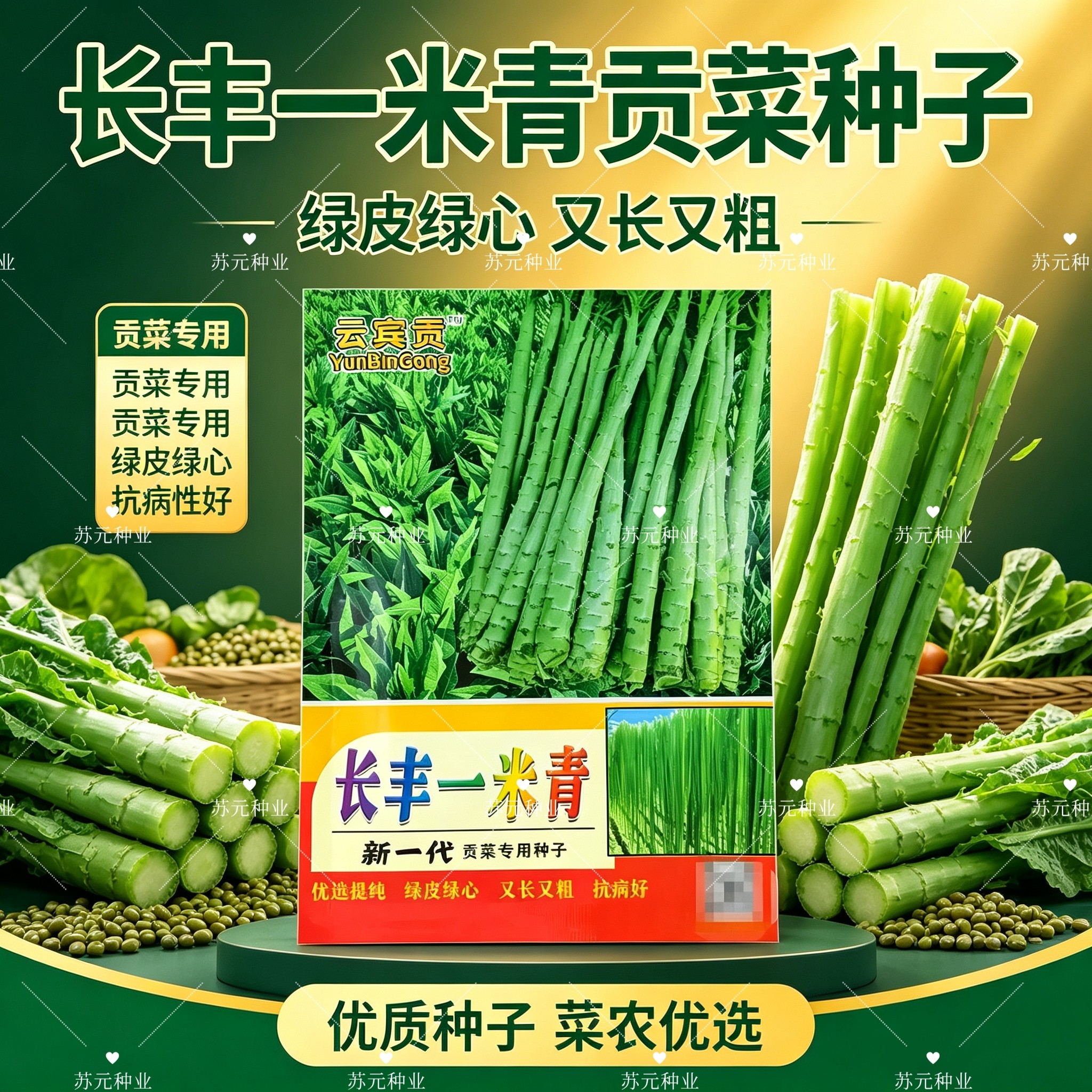 长丰一米青新一代贡菜种子抗病耐高温耐湿绿皮绿心夏秋播贡菜种籽