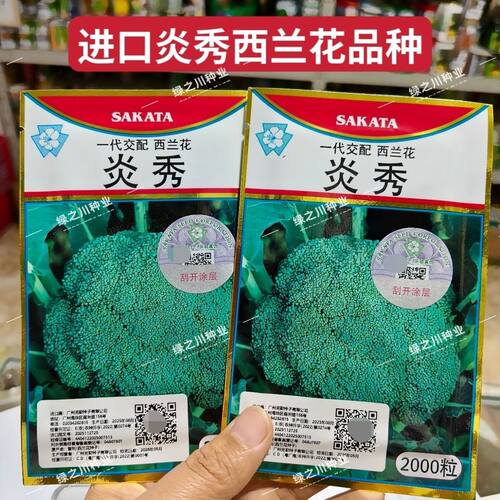 炎秀西兰花种子进口一代杂交西兰花品种西蓝花花椰菜种子绿色花菜