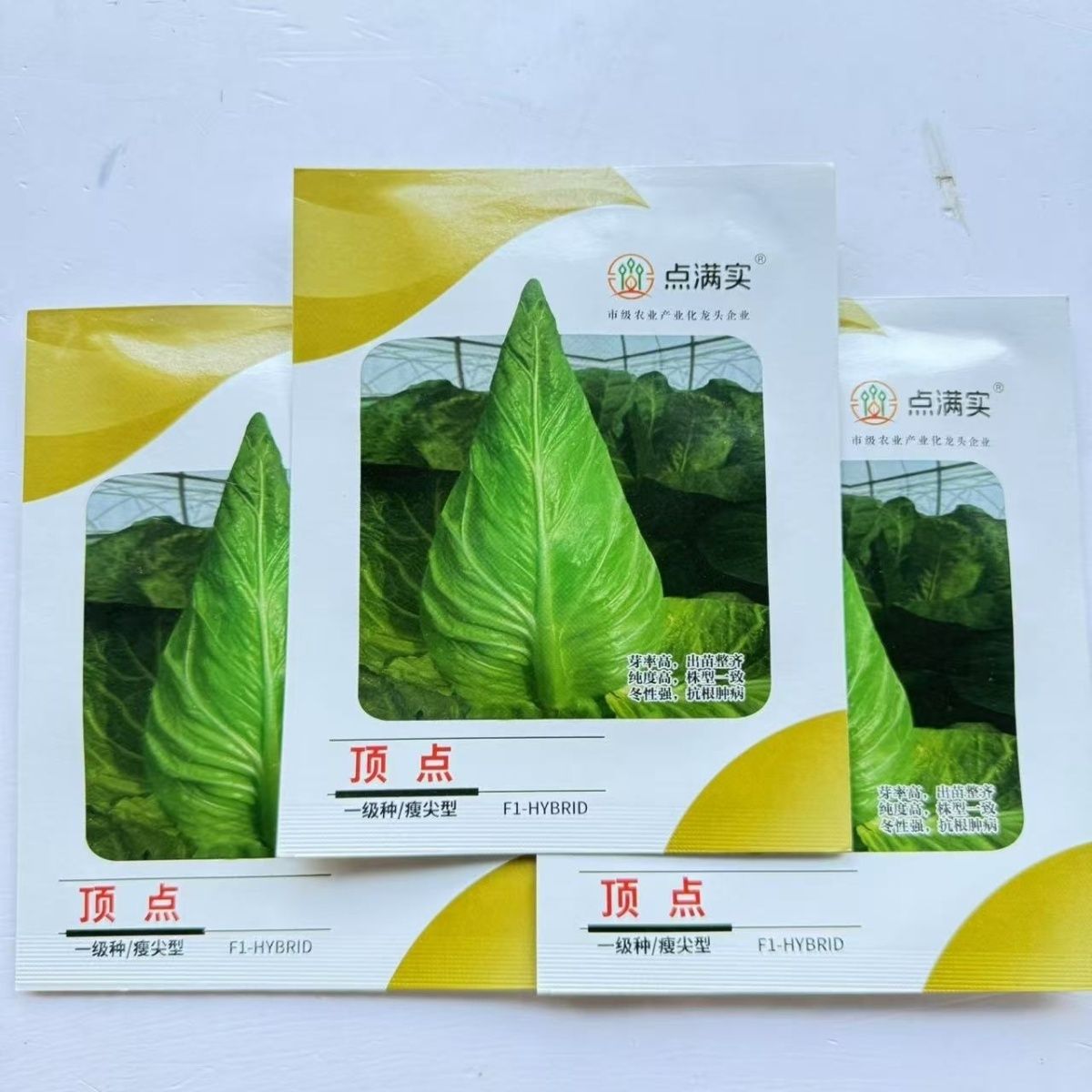 顶点瘦尖型牛心甘蓝种子早中熟叶翠绿油亮冬性强抗根肿耐抽薹耐裂