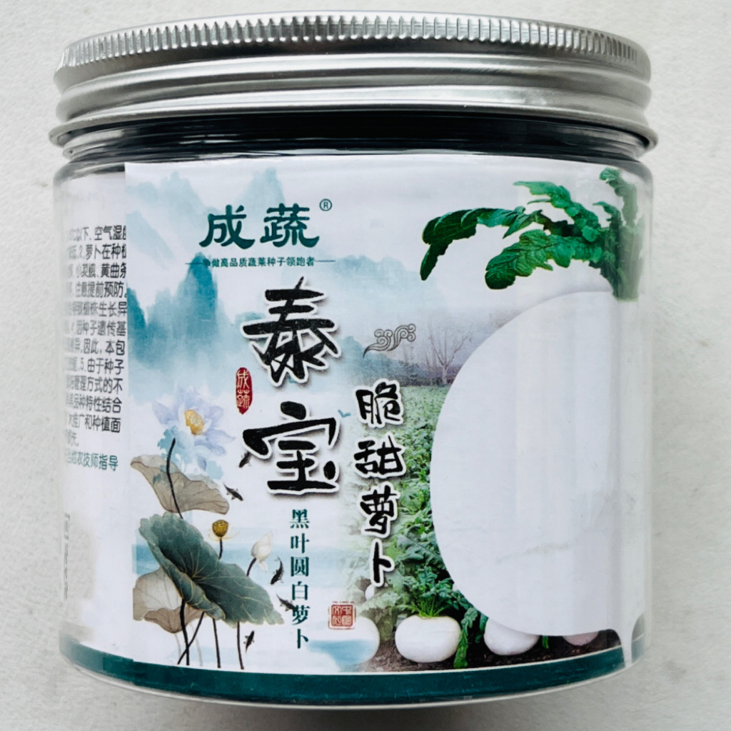 韩脆糖圆萝卜种子中熟圆白萝卜种子耐热耐湿耐抽苔秋季蔬菜种籽孑