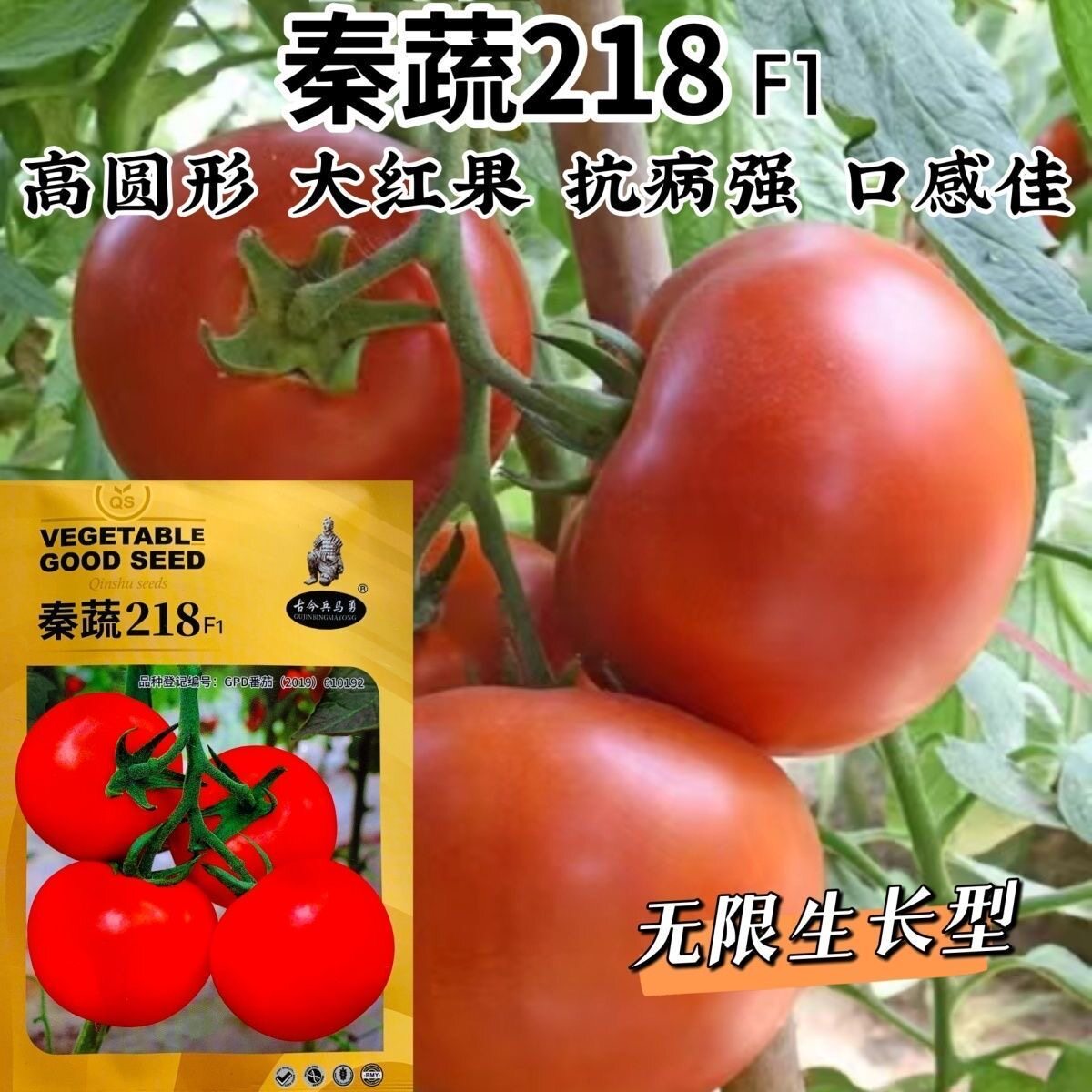 218西红柿种子大红果番茄种子抗病强耐寒耐热性好硬果番茄种