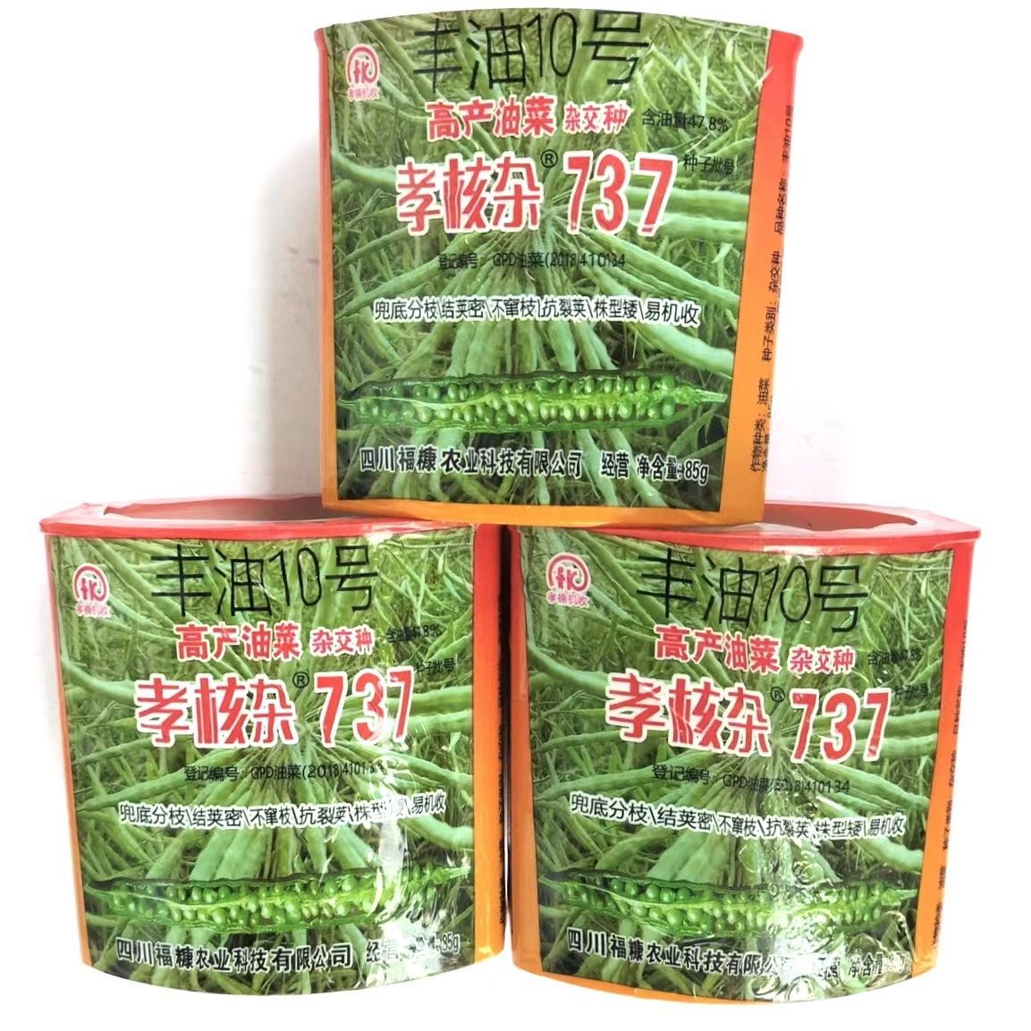 榨油用油菜籽 杂交高产孝核杂737油菜种子冬季耐寒抗倒油菜花种孑