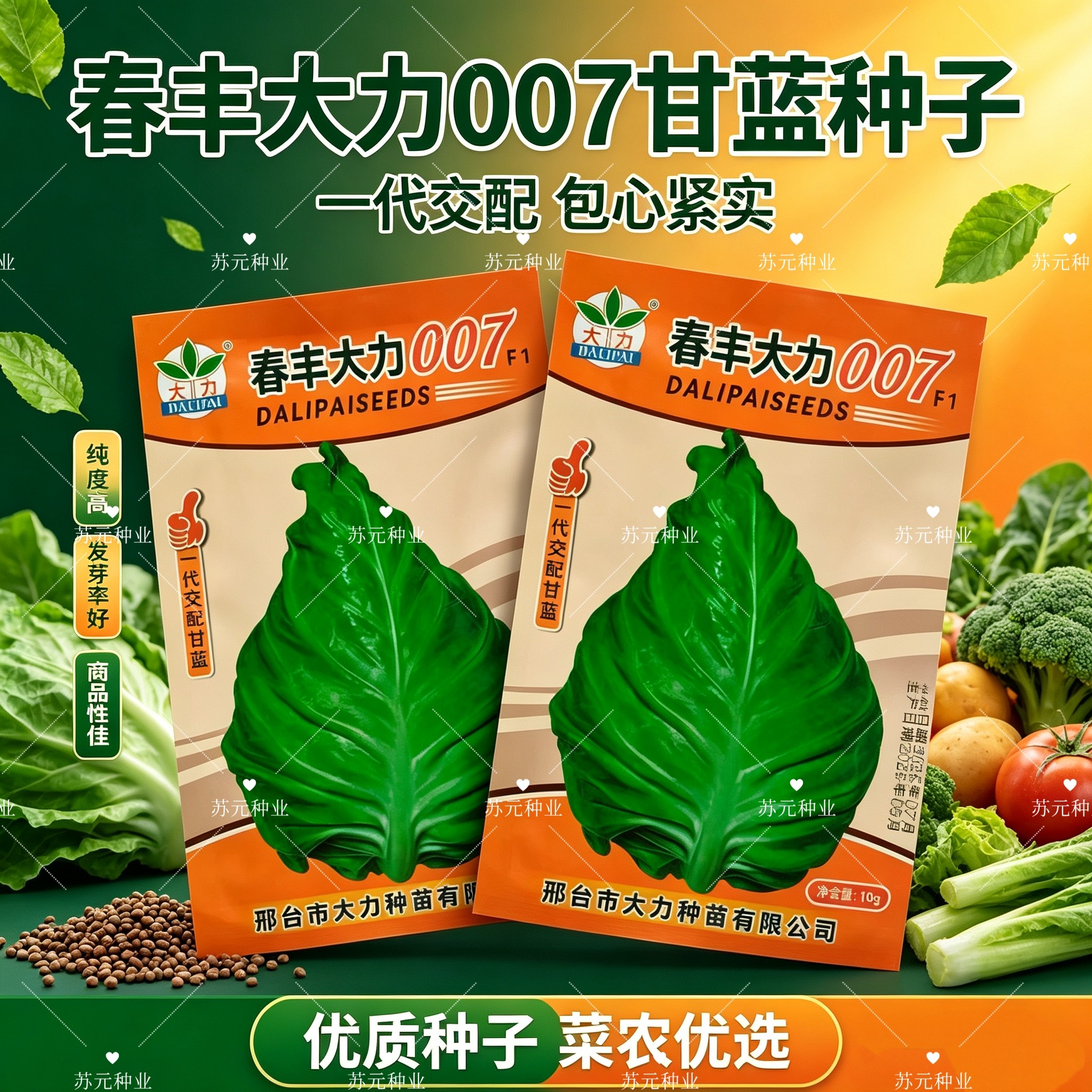 春丰大力007甘蓝种子早熟春甘蓝叶色灰绿腊粉中等叶球牛心形包菜