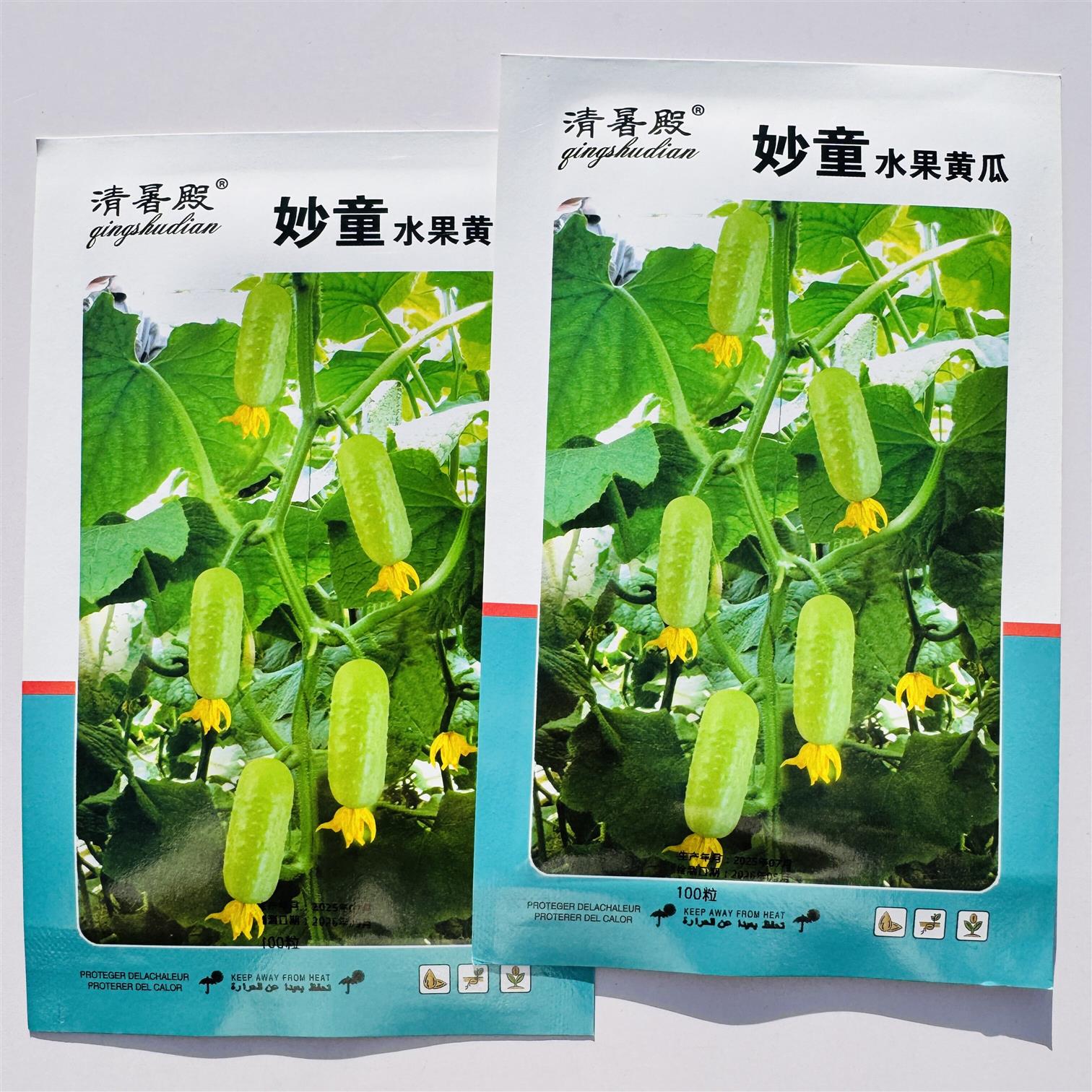 妙童水果黄瓜种子杂交一代抗病高产早熟脆嫩清香黄瓜种籽春秋季播