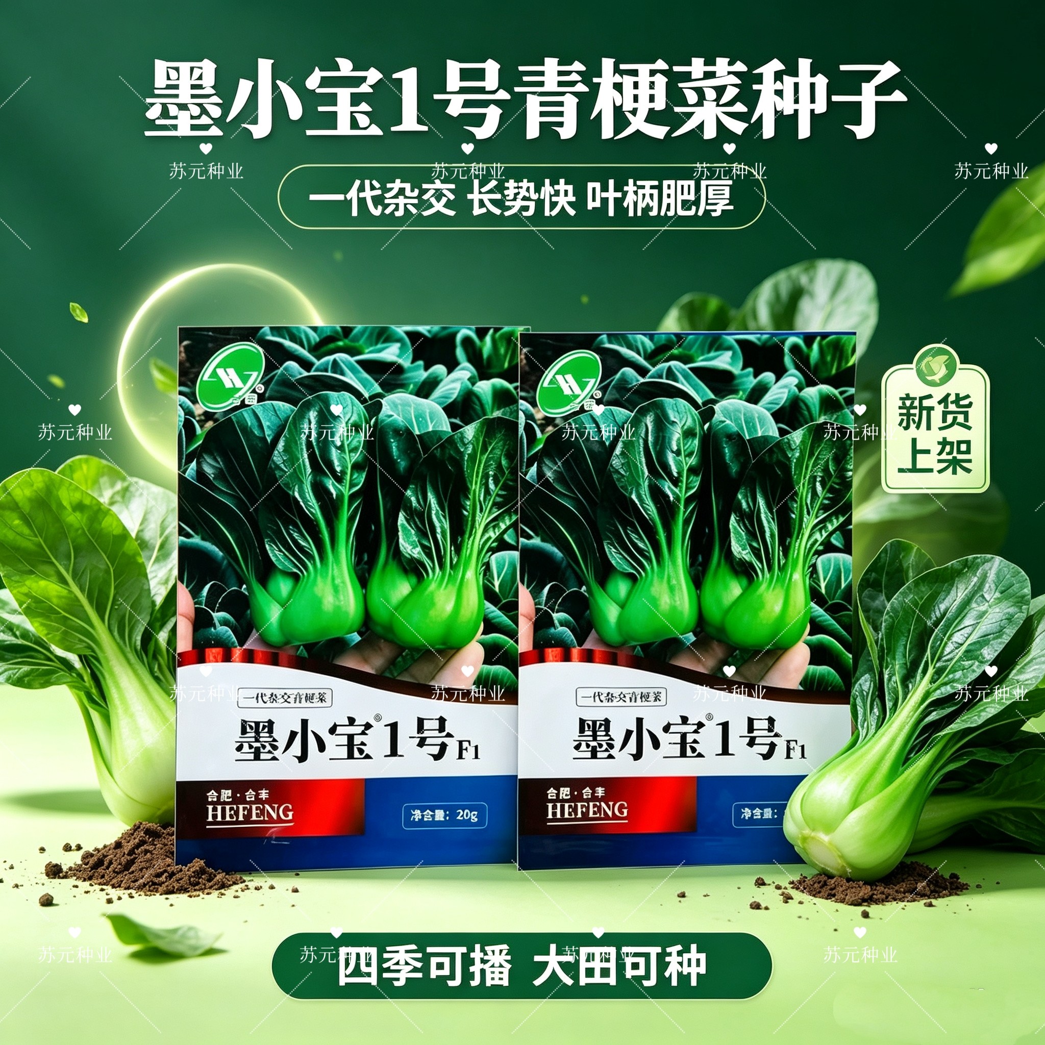 墨小宝1号青梗菜宁夏矮脚苏州青菜种籽上海青菜种子耐寒菜种正品