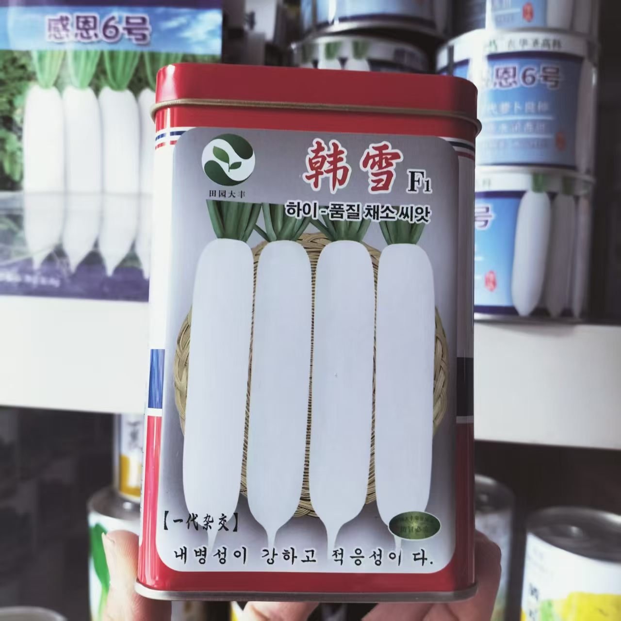韩雪长白萝卜种子韩国萝卜种籽孑高产抗病优质早熟耐老耐抽苔精选