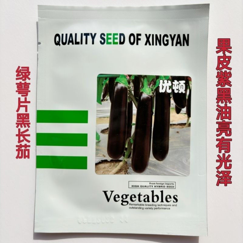 优顿墨茄种子墨茄种子黑亮茄子中熟抗性强味微甜皮薄籽少茄子种子