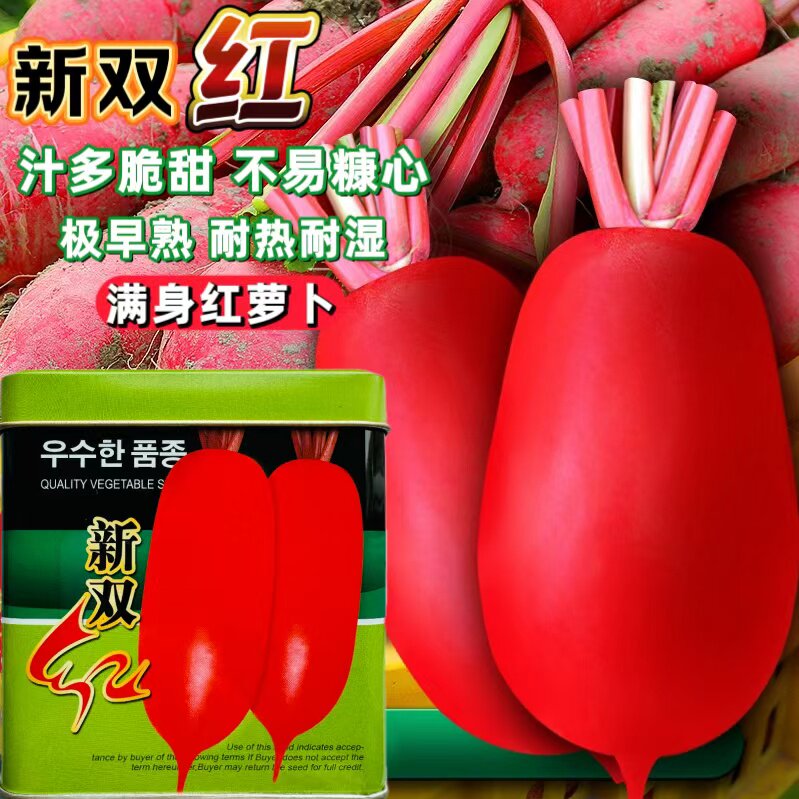新双红萝卜种子耐热夏季萝卜种籽红皮白肉萝卜春夏秋早熟不易糠心