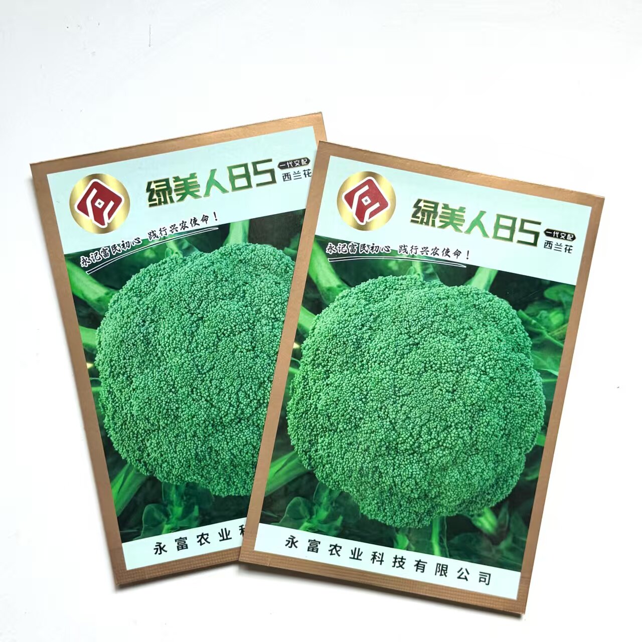 绿美人85青梗花椰菜西兰花种子花球翠绿高圆型耐寒适应广大田种孑