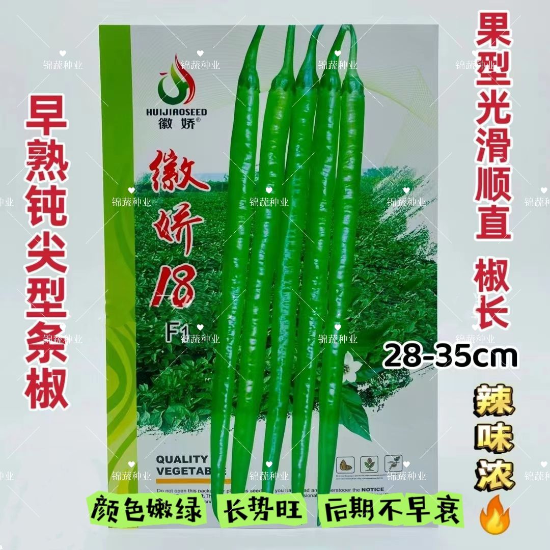 徽娇18号线椒种子早熟条椒种子高产抗病颜色嫩绿果光滑顺直辣味浓