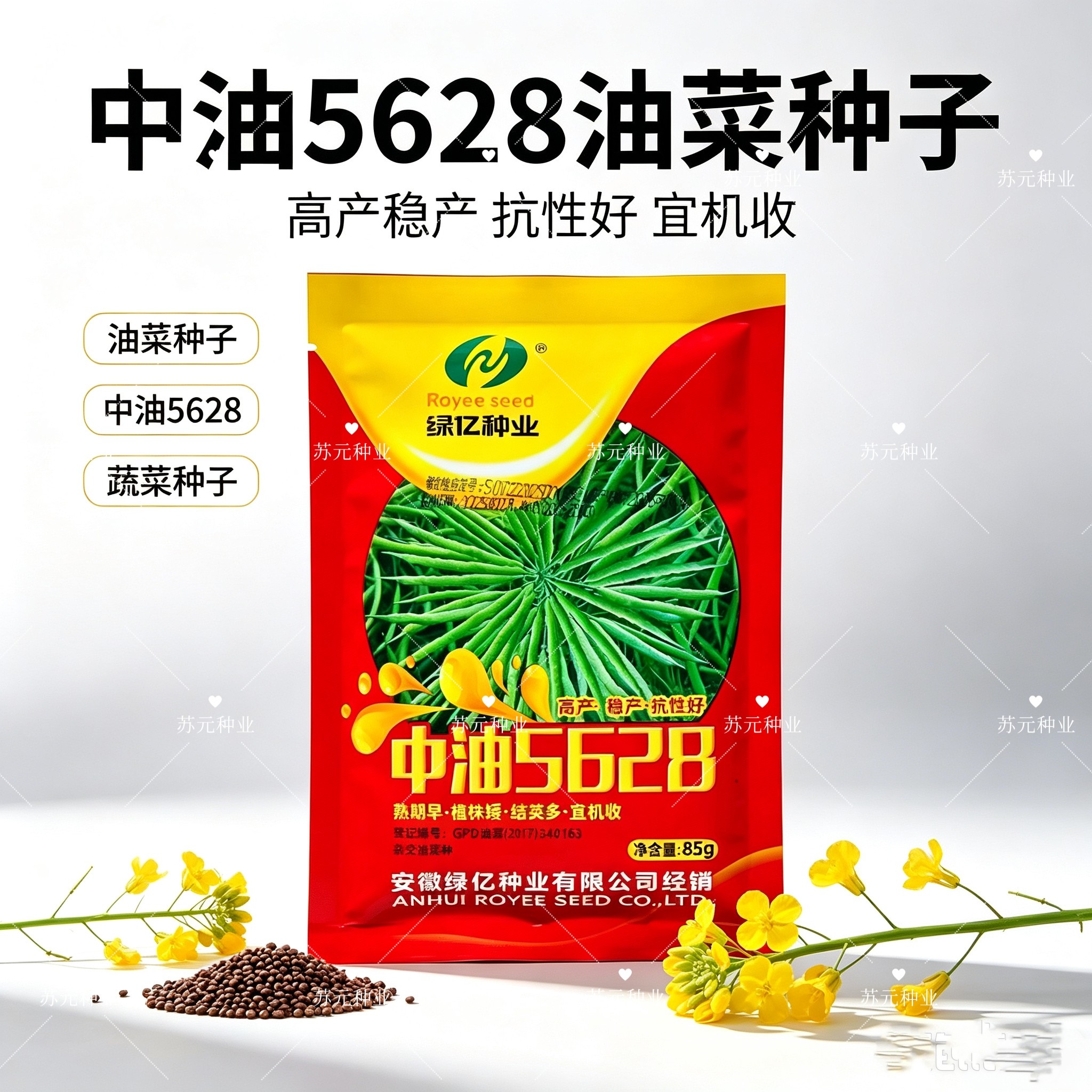 中油5628杂交油菜种子早熟高产高油抗倒伏矮杆油菜籽种籽农家秋播