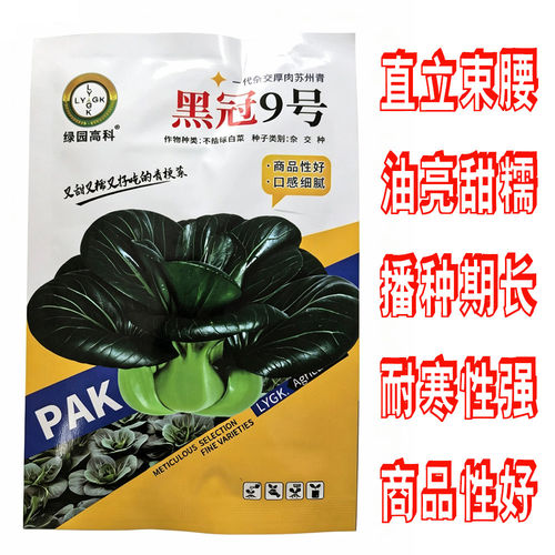 苏州青油亮黑叶矮脚苏州青种子软糯清甜入口即化秋冬播蔬菜种子籽