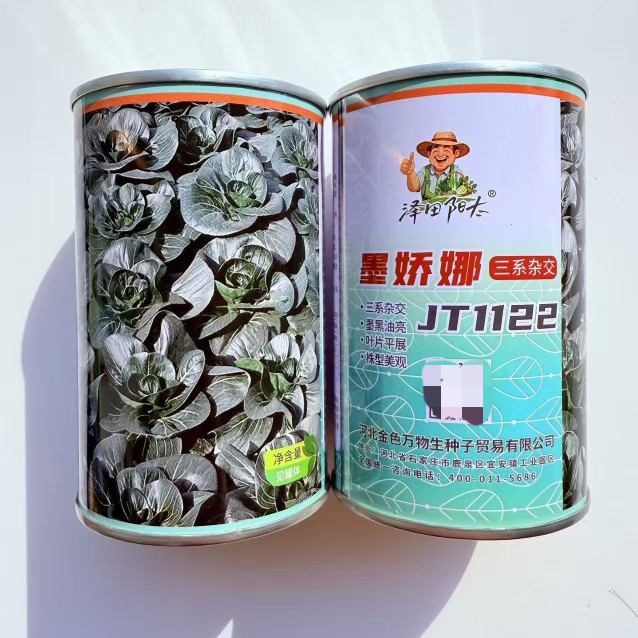 墨娇娜三系杂交青菜种子耐寒越冬青梗菜种子墨绿色青菜矮脚黑叶菜