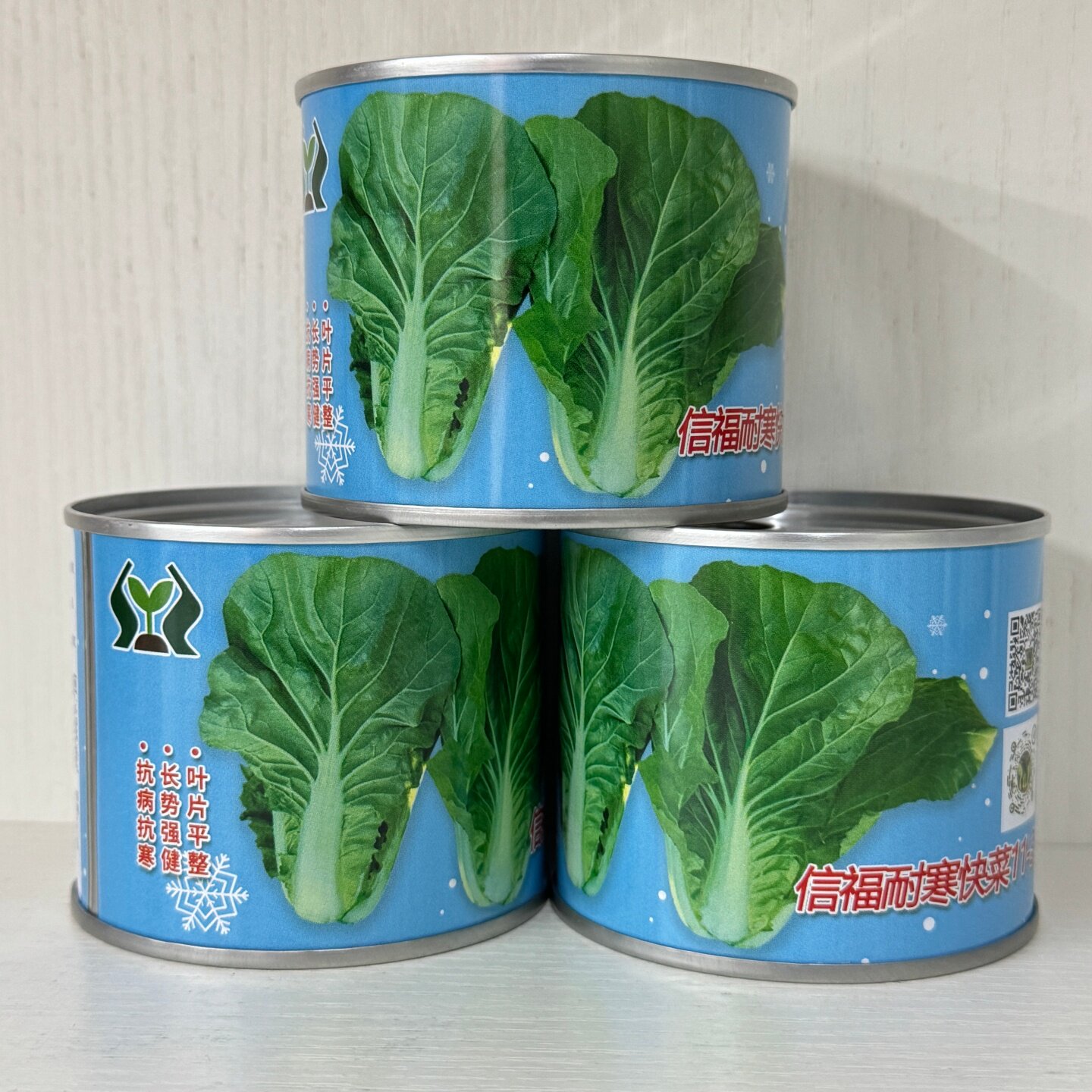 耐寒快菜11-3快菜种子抗病不结球白菜种籽春秋播叶深绿梗翠绿