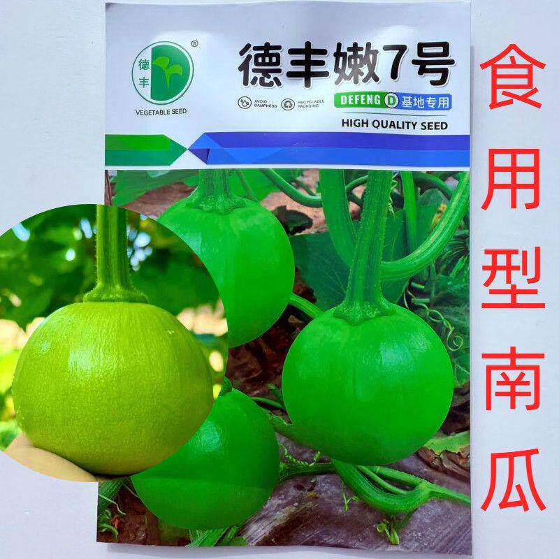 德丰嫩7号嫩瓜食用型南瓜种子早熟圆形坐果能力强产量品种推荐种