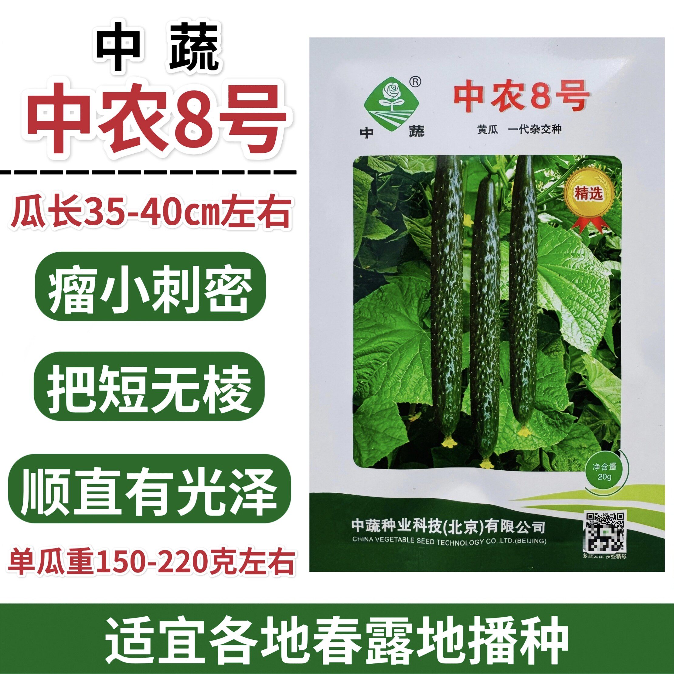 中蔬种业中农8号黄瓜种子春季栽培黄瓜种籽深绿把短瘤小刺密青瓜
