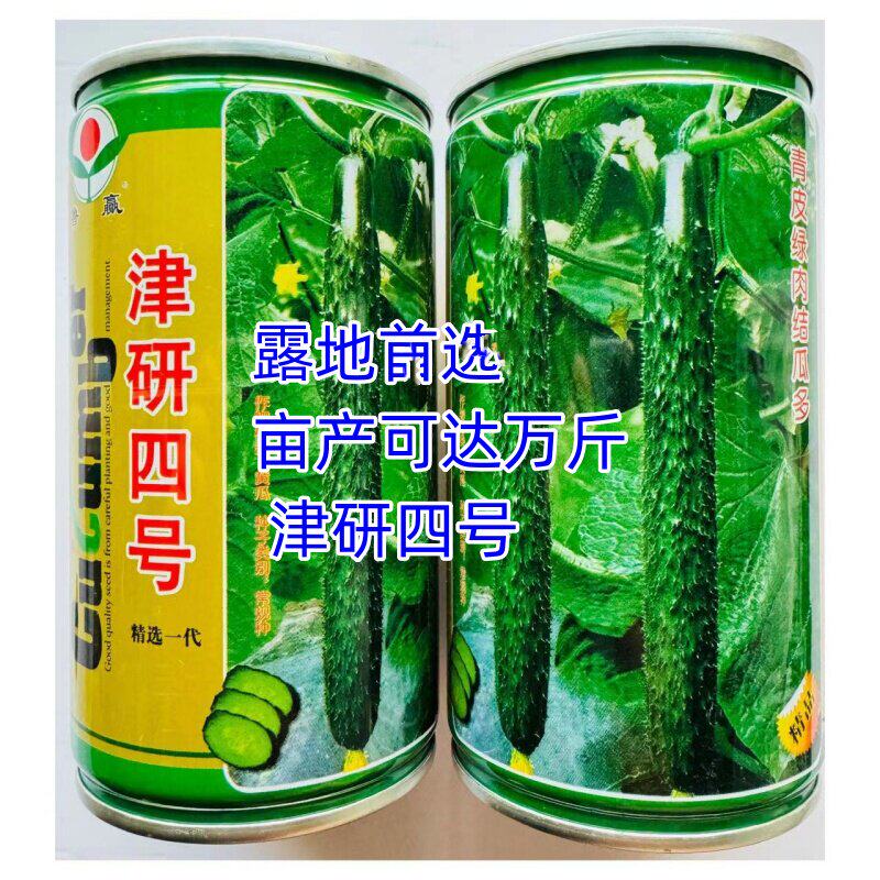 黄瓜种子大全津春4号津研4号津优一号油量绿心黄瓜大全春夏秋季播