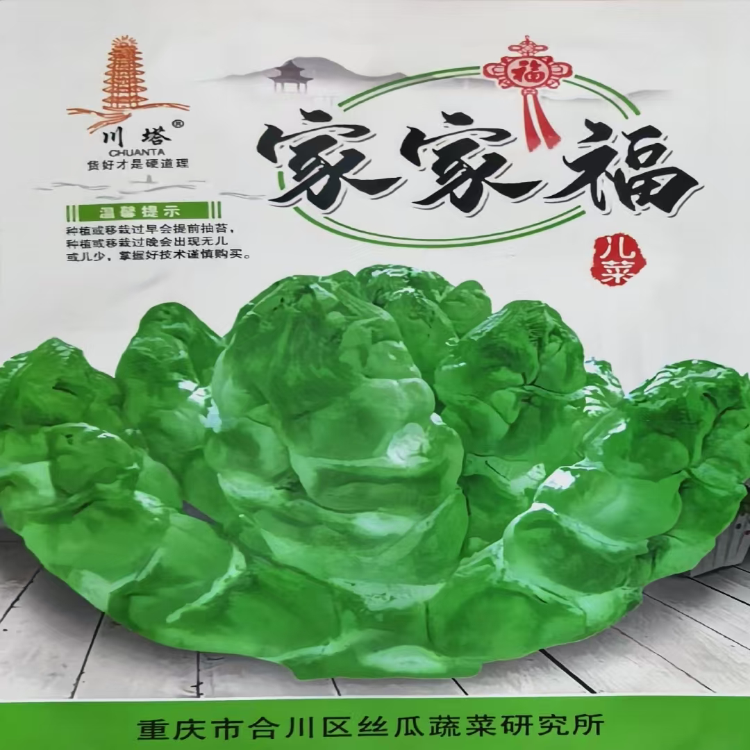 家家福儿菜种子 重庆娃娃菜抱子芥菜种籽 秋播大田蔬菜种孑