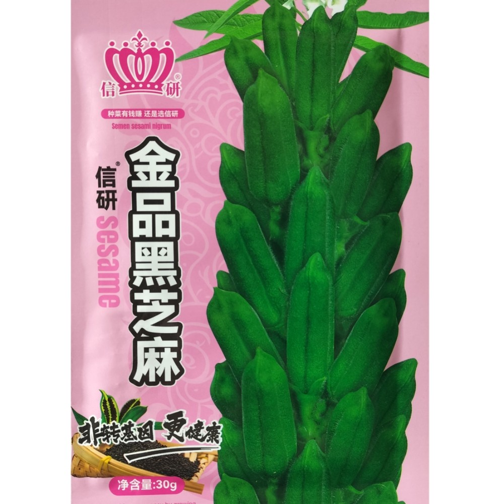 金品黑芝麻种子农家春季抗倒抗重茬耐旱高油非转基因芝麻种籽图片