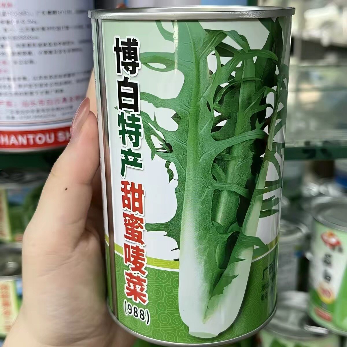 博白特产甜蜜唛菜精选甜麦菜苦麦菜优质种子正品新鲜广西正宗