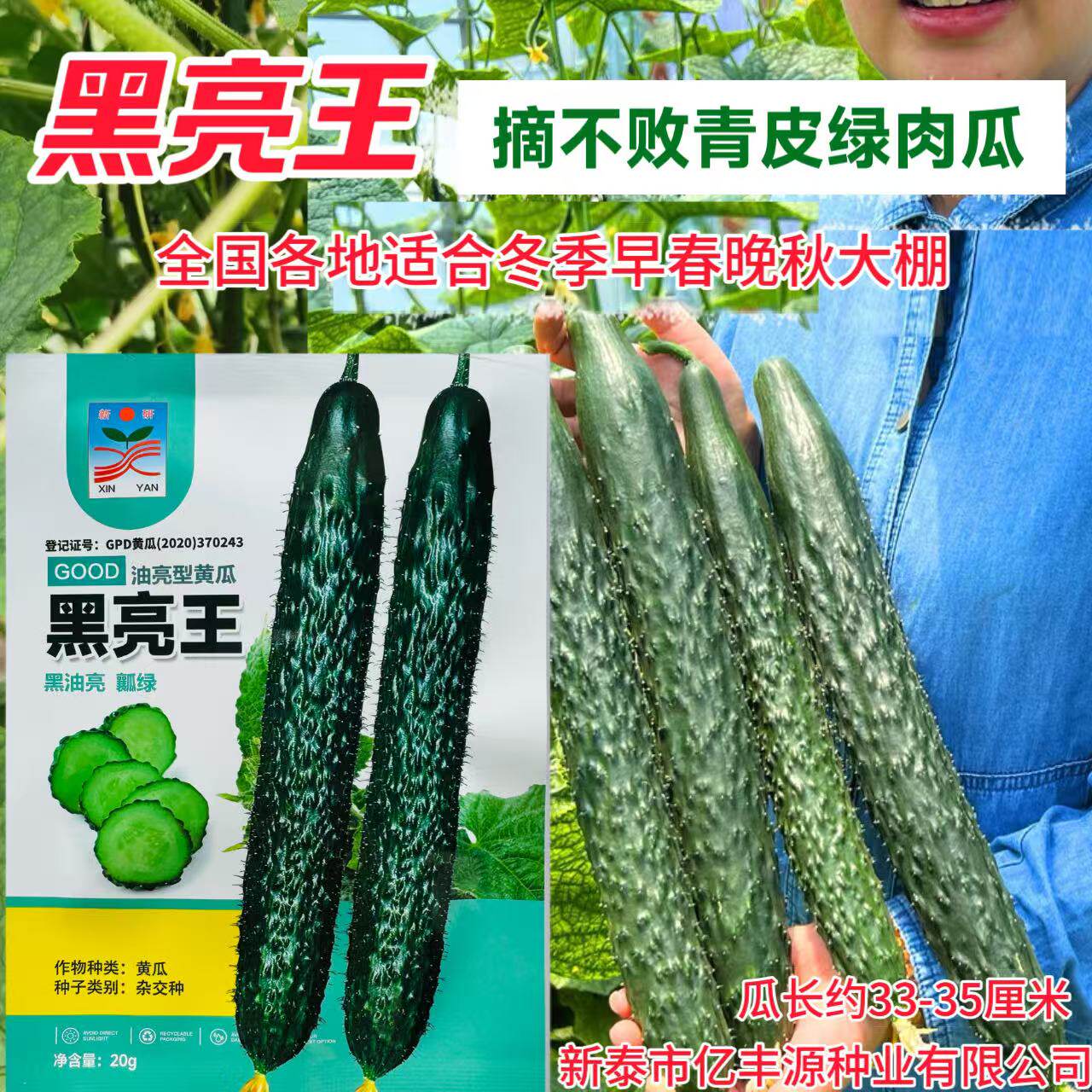 黑亮王黄瓜种子墨绿油亮型绿肉黄瓜种籽高产抗病耐寒大棚露地20克