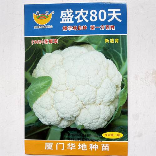 盛农80天花椰菜种子中熟969松散花菜耐热抗病秋播大田蔬菜种籽