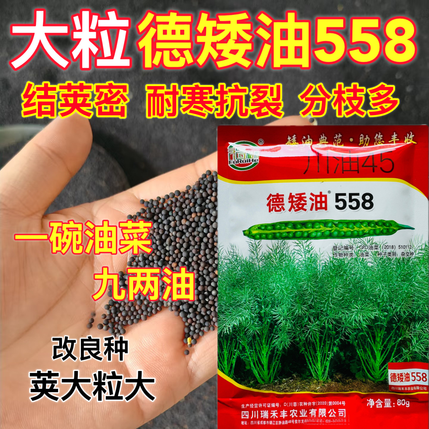 德矮油558油菜种籽矮秆抗病分枝多大田秋播杂交榨油籽油菜花种子