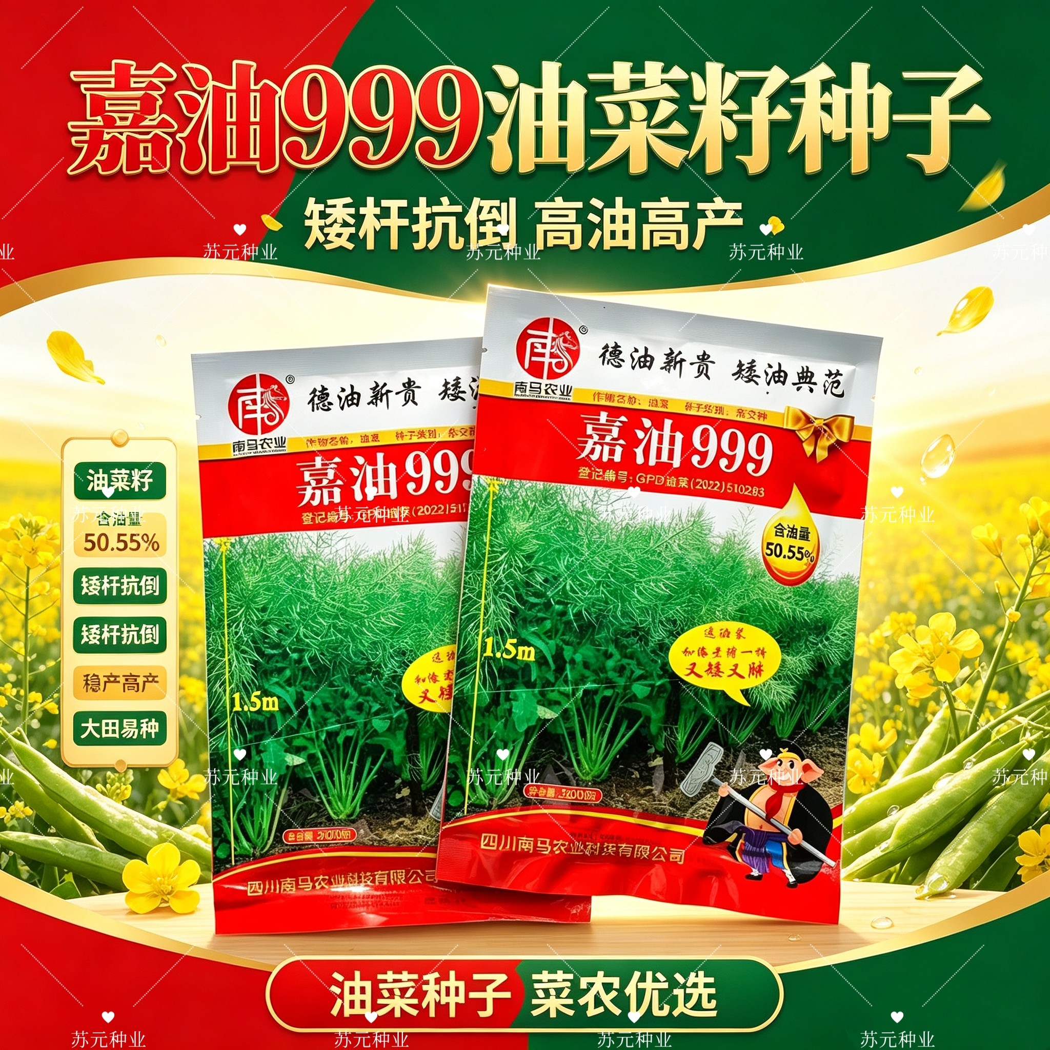 南马嘉油999油菜种子甘蓝黑油菜种籽矮杆实心杆抗倒伏高出油春秋