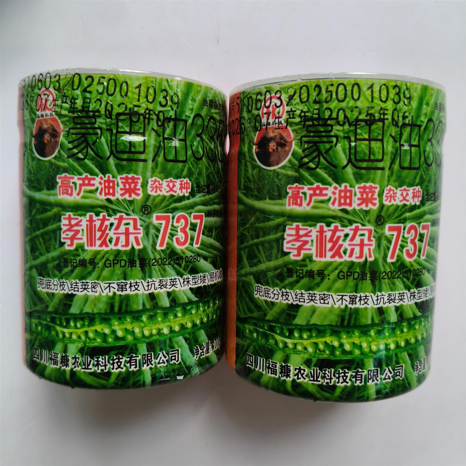 矮杆高产油菜种子孝核杂737抗倒伏抗病植株矮油菜籽秋播油菜种孑