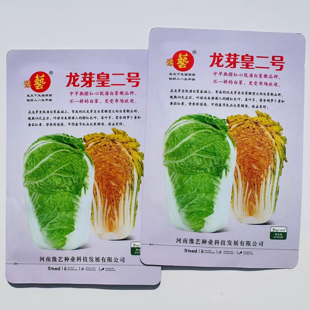 种子龙芽皇二号白菜种子秋季橘红心大白菜种子营养价值高优质