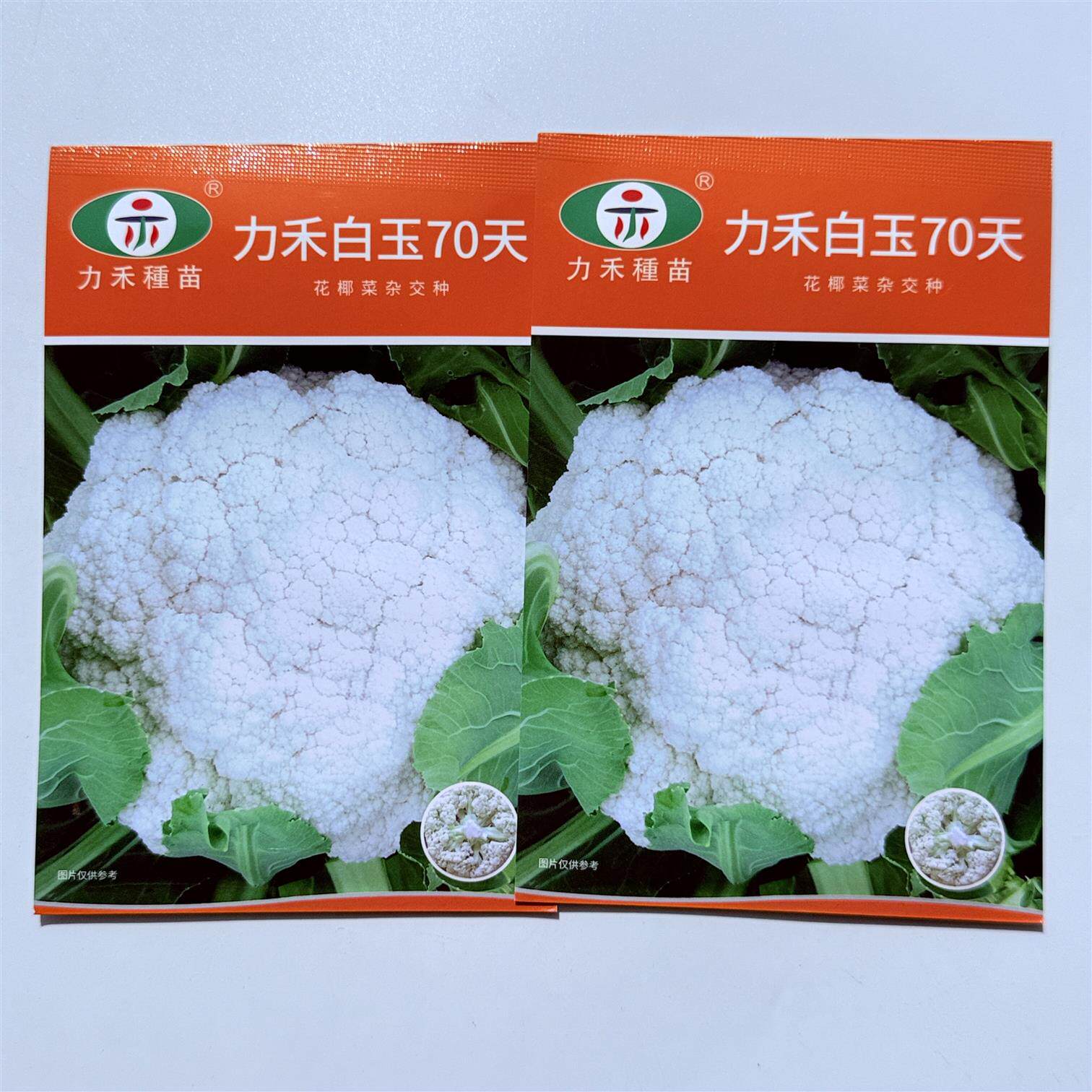 白玉70天花椰菜种子高产抗病杂交白花菜种籽农家春秋播蔬菜种
