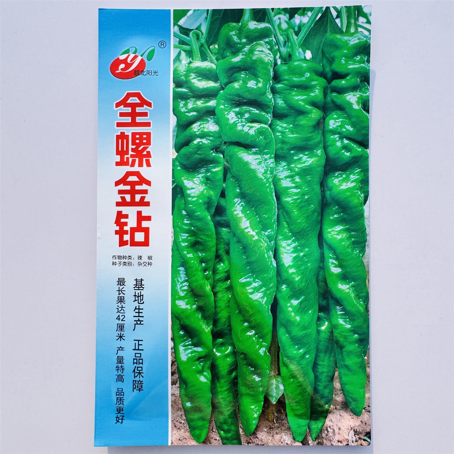螺丝椒种子全螺金钻辣椒香辣适中全螺旋形麻面顺直中早熟春秋辣椒