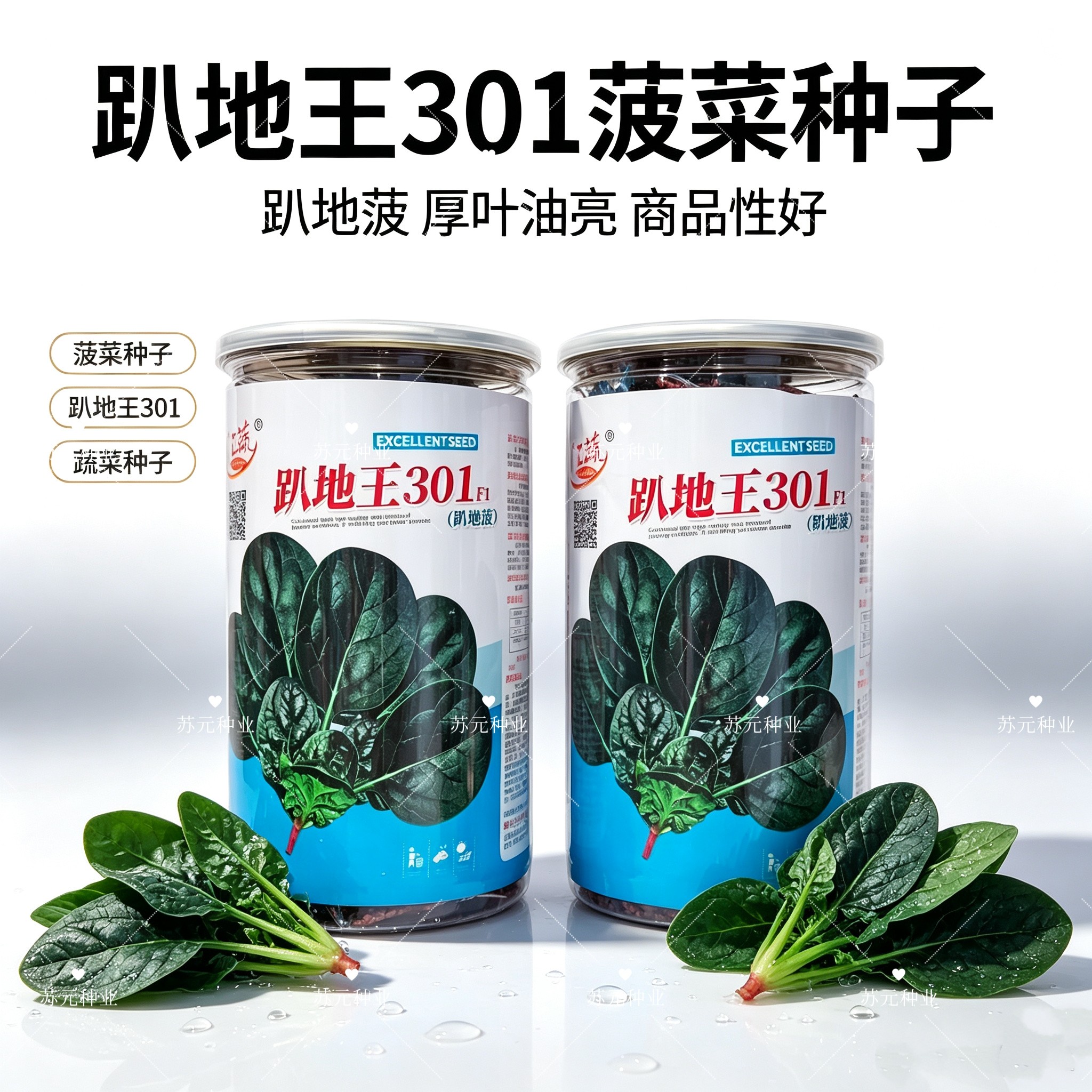 趴地王301菠菜种子趴地圆叶菠菜种子叶片肥厚黑绿发亮菠菜种子