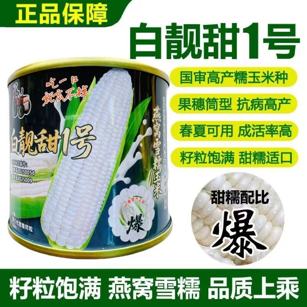 燕窝糯玉米一款比西瓜还甜的全新第三代超甜糯玉米好种植种