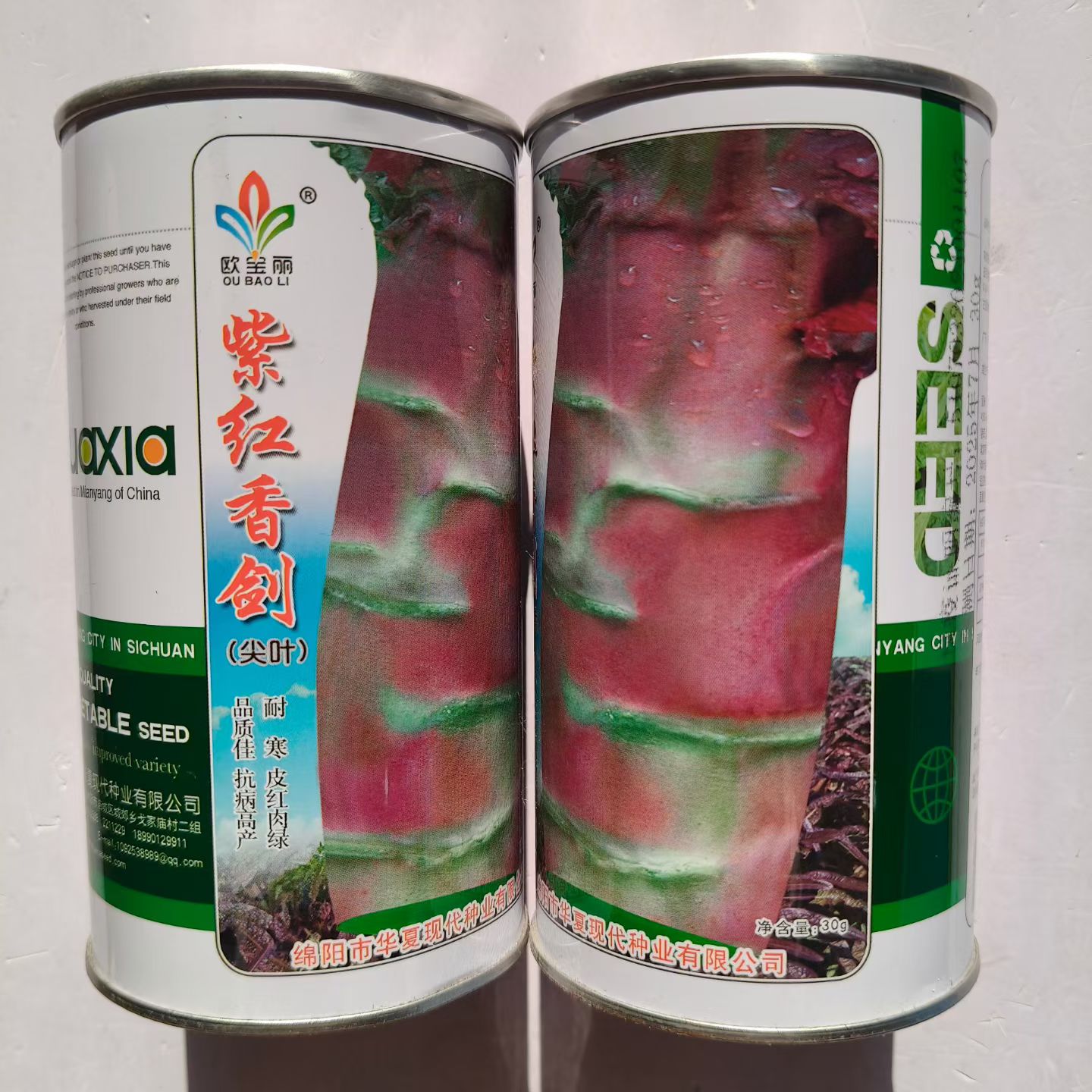 紫红香剑莴苣种子尖叶莴笋种子高产抗病耐寒紫红皮绿肉香莴笋种籽