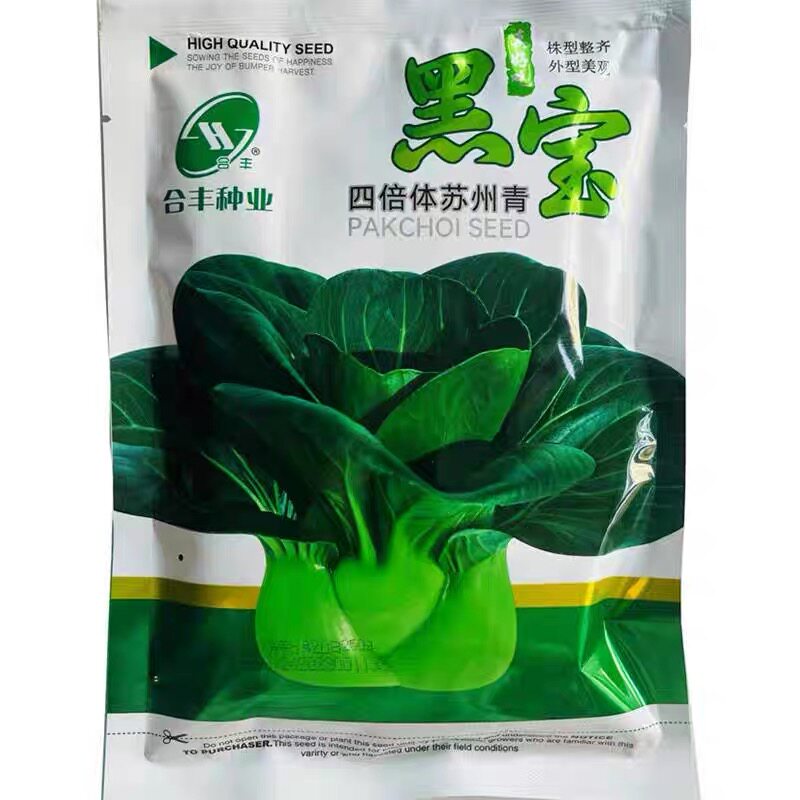 黑宝四倍体黑叶苏州青菜种籽种孑秋冬季移栽 作小青菜四季播种子