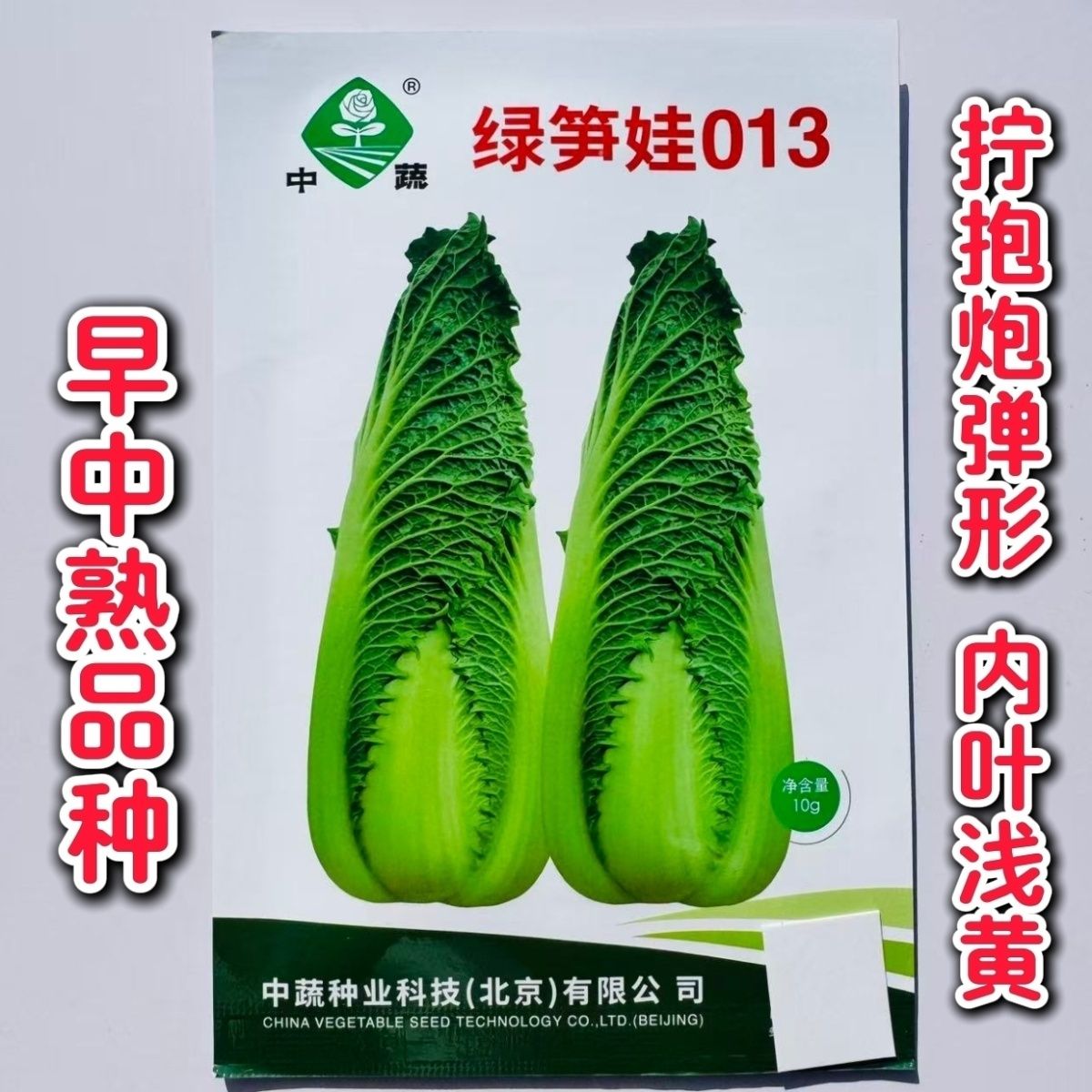 绿笋娃013龙牙白菜种子拧抱黄心绍菜水果白菜65天秋尖头白菜种子