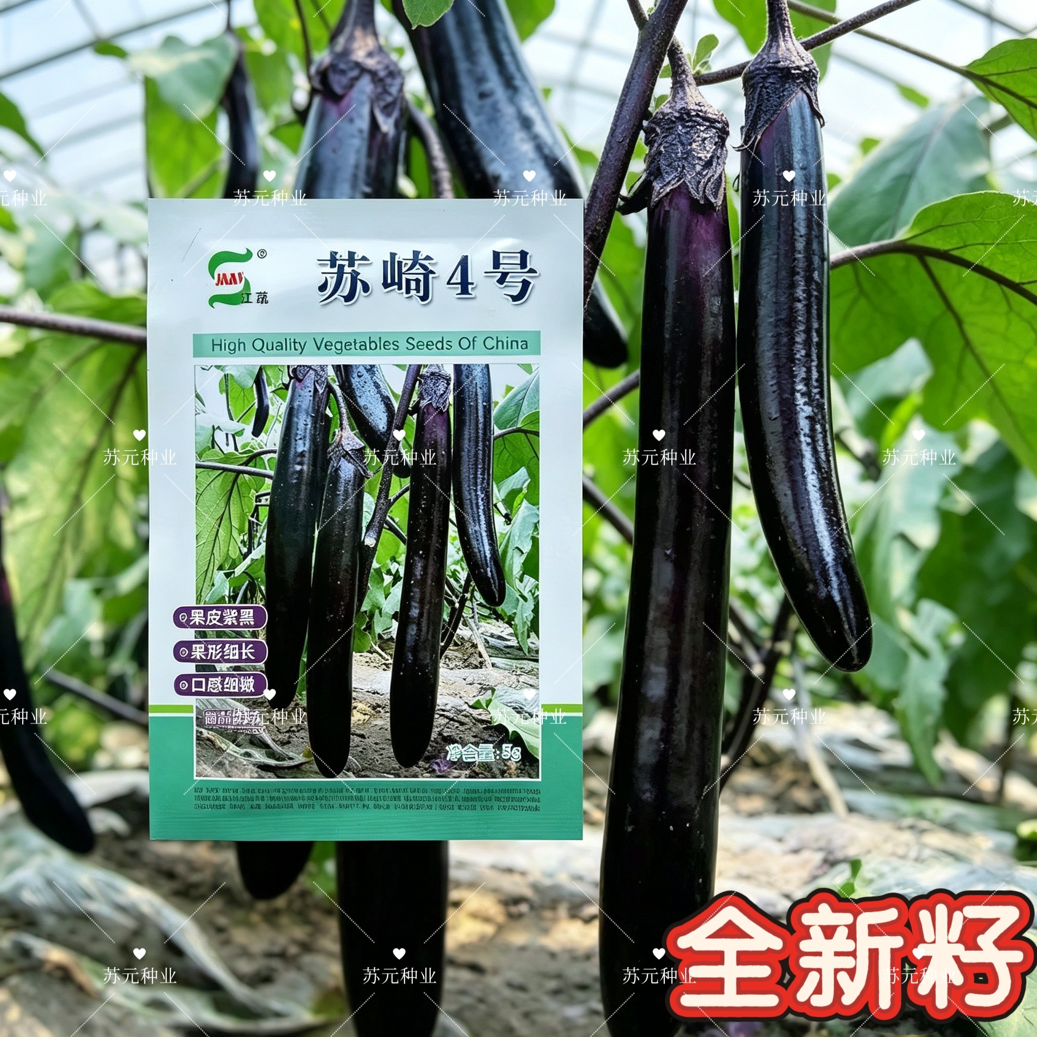 苏崎4号茄子种子早熟高产抗病耐热耐寒春夏播紫黑长茄种籽孑阳台