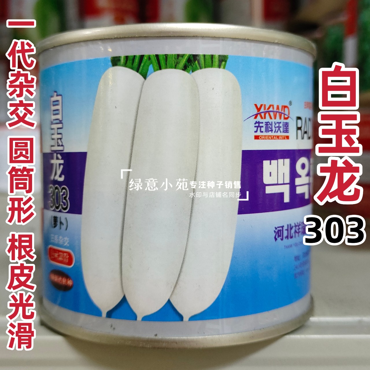 韩国引进杂交白萝卜种子白玉龙303萝卜种籽圆筒形表皮光滑白萝卜