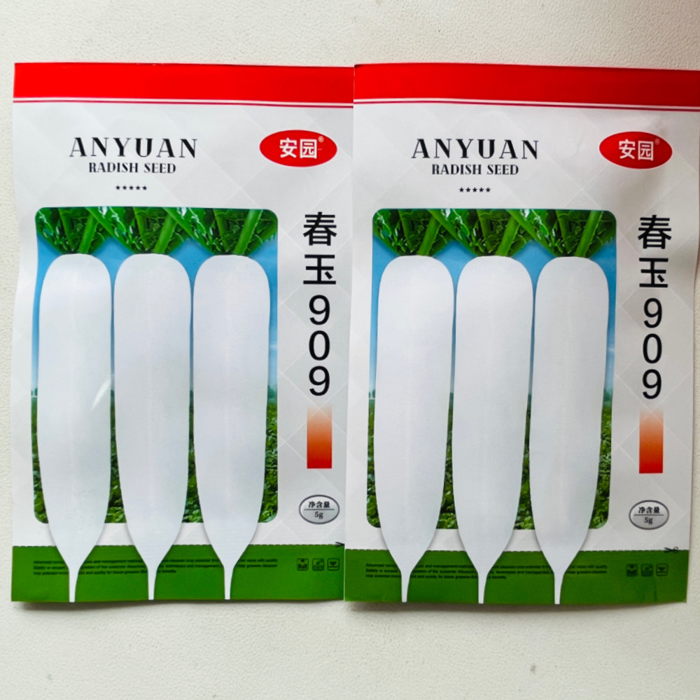 春玉909白萝卜种子农家春秋播不易糠心早熟皮薄萝卜籽蔬菜种孑籽