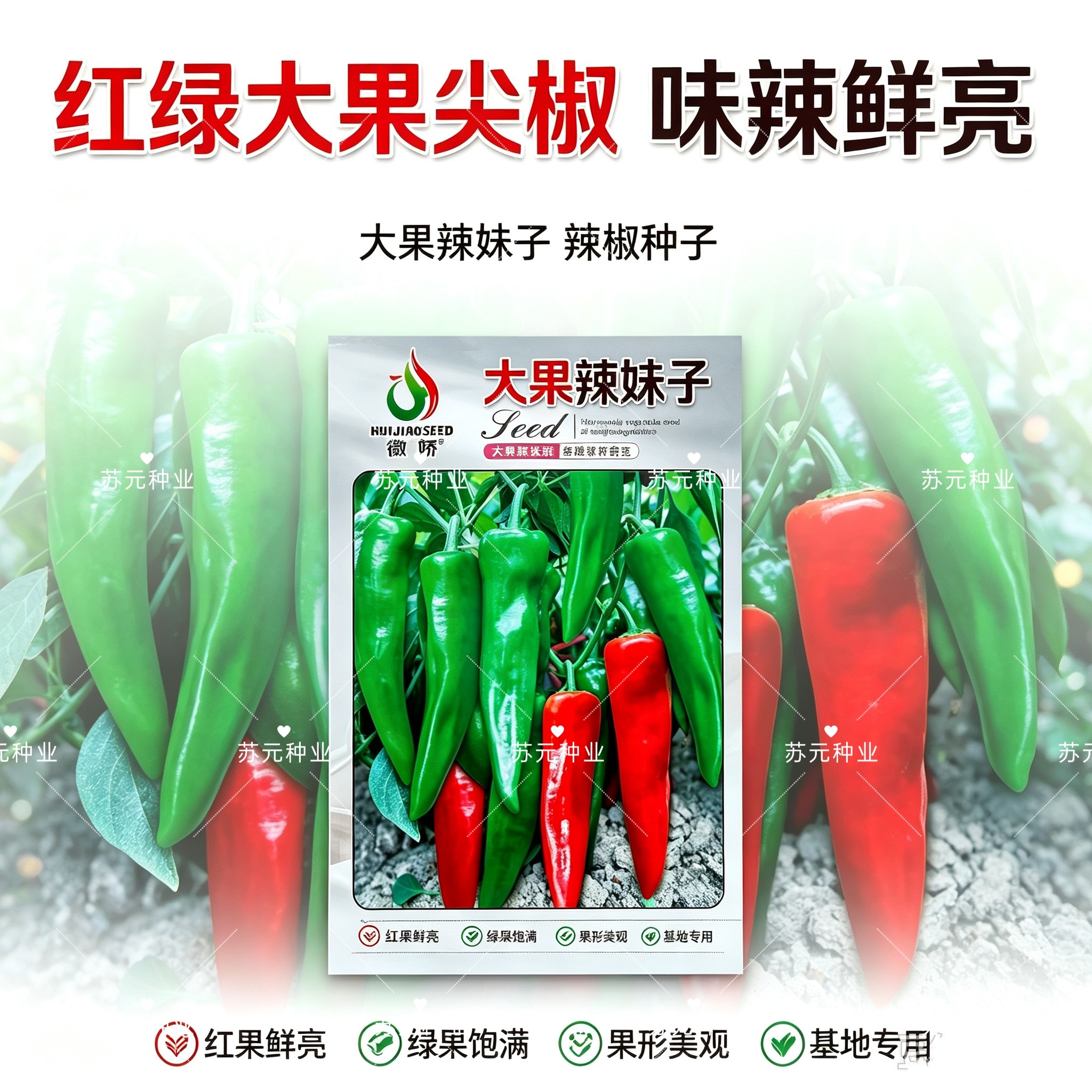 徽娇大果辣妹子薄皮辣椒种子青红两用小叶蔬菜种子早熟香辣高产孑