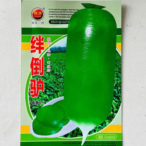 绊倒青萝卜种子绿瓤晒干腌制冬储大萝卜蔬菜种子