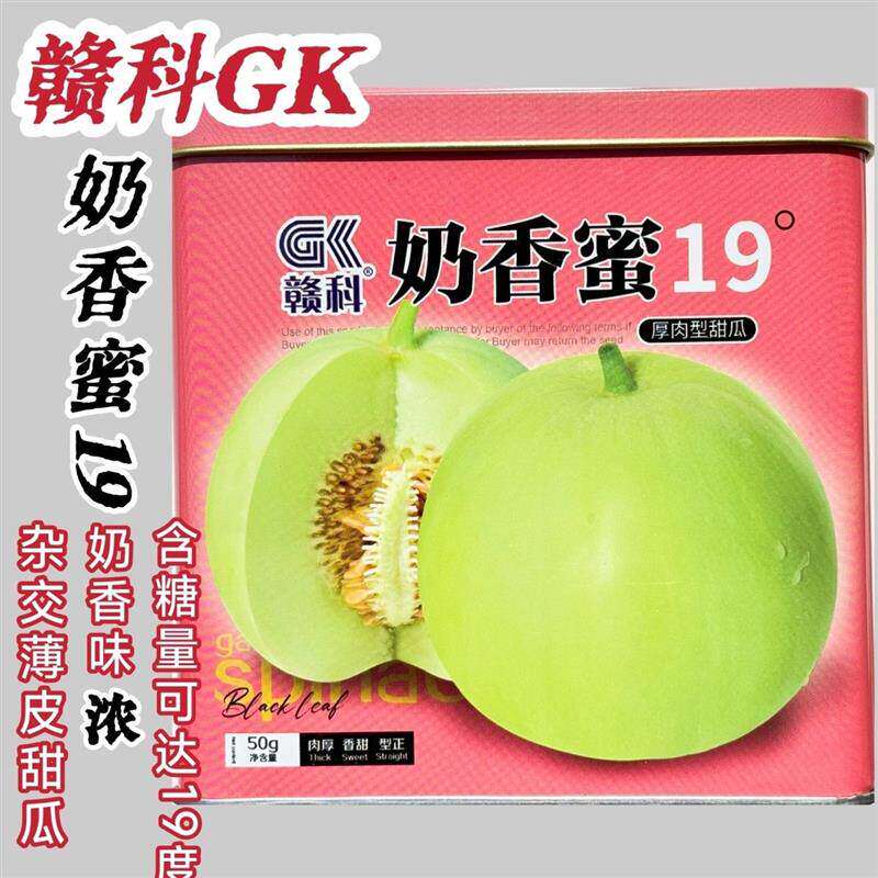 奶香蜜19°甜瓜种子香瓜早熟薄皮奶香蜜瓜赣科浓香蜜瓜种籽香味浓
