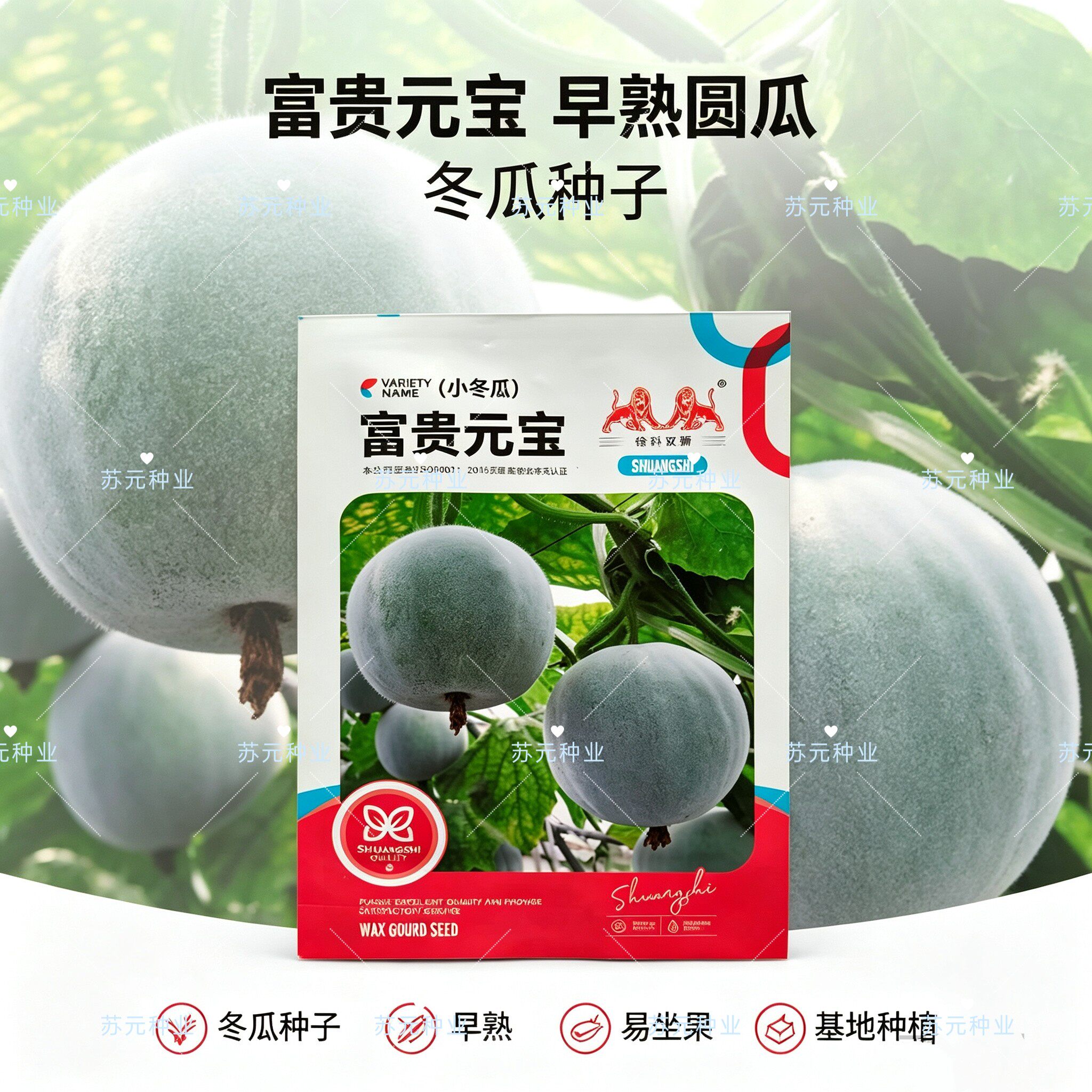 富贵元宝冬瓜种子中早熟抗性强圆筒型粉皮小冬瓜籽果腔小口感脆甜